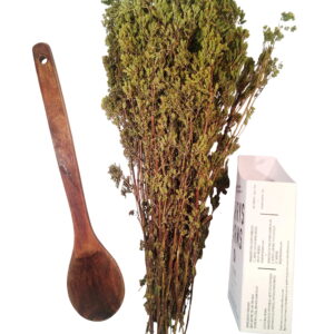 Greek Oregano